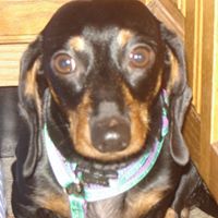 Gail Wenzel Photo 15