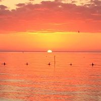 Julie Snyder Photo 25 Julie Snyder Photo 25