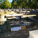 Amy Rowland Photo 22