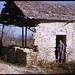 Jean Grainger Photo 21