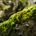 Sally Moss Photo 17