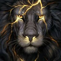 Steve Howland Photo 17