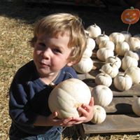 Katherine Stephenson Photo 12