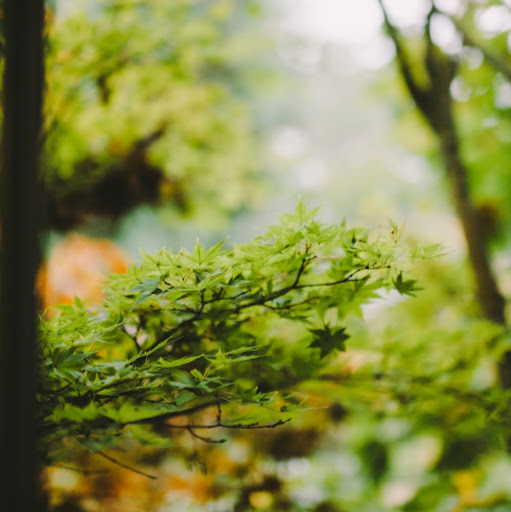 Sam Brewster Photo 21