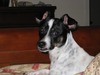Stacy Rodgers Photo 20