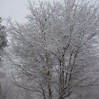 Janice Douglass Photo 13