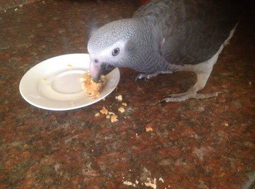 Barbara Graham Photo 36 Barbara Graham Photo 36