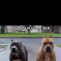 Matthew Abrams Photo 15