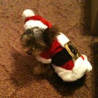 Derrick Holman Photo 24 Derrick Holman Photo 24