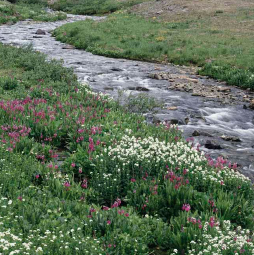 Stefanie Johnson Photo 32