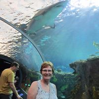 Joyce Barbour Photo 17
