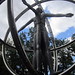 Joseph Adamo Photo 12