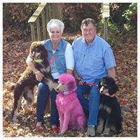 Cheryl Riddle Photo 11