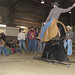 Brad Buck Photo 42