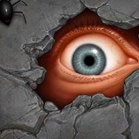 Chad Turner Photo 23