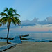 Debra Soles Photo 10