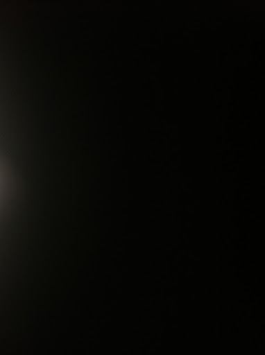 Lisa Washburn Photo 12