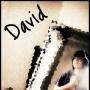 David Arms Photo 11