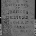 Elizabeth Demoss Photo 6