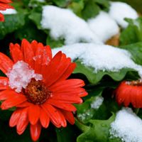 Jodie Russell Photo 12