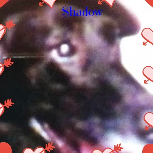 Rebecca Daley Photo 8