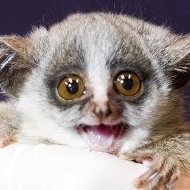 Anthony Glover Photo 35