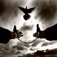 Cassandra Banks Photo 19