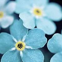 Catherine Paris Photo 11 Catherine Paris Photo 11