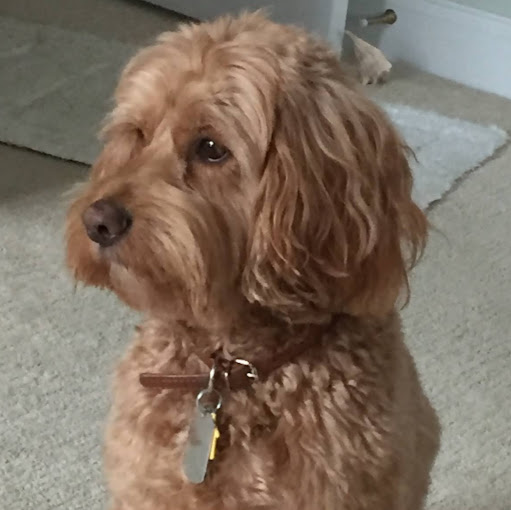 David Grove Photo 14 David Grove Photo 14