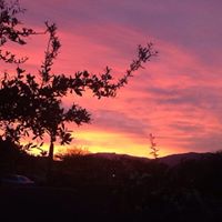 Nancy Burger Photo 30