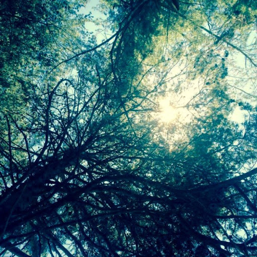 Jane Fisher Photo 15