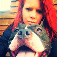 Tracy Phelps Photo 38