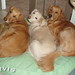 Maryann Madison Photo 4