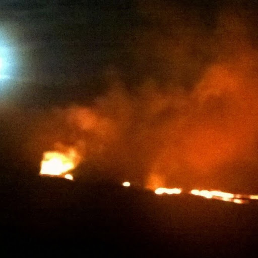 Beatrice David Photo 5