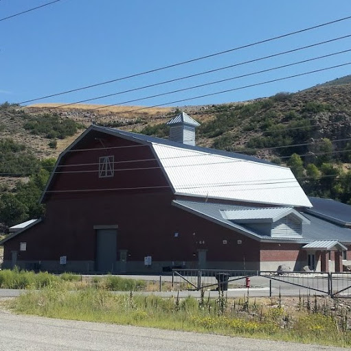 Dean Fitzgerald Photo 13