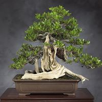 Randolph Carter Photo 28