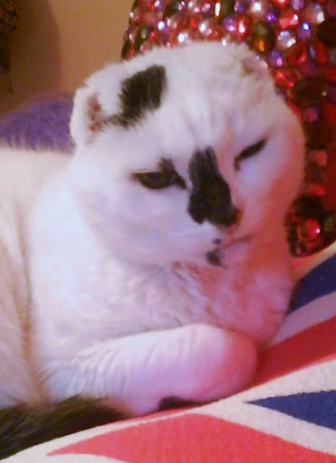 Caroline Weir Photo 4