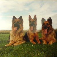 Derek Robins Photo 19