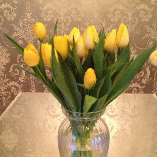 Paula Cooper Photo 47 Paula Cooper Photo 47