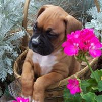 Vicki Steen Photo 22