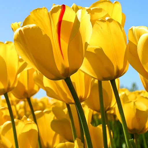 Jennifer Mock Photo 19