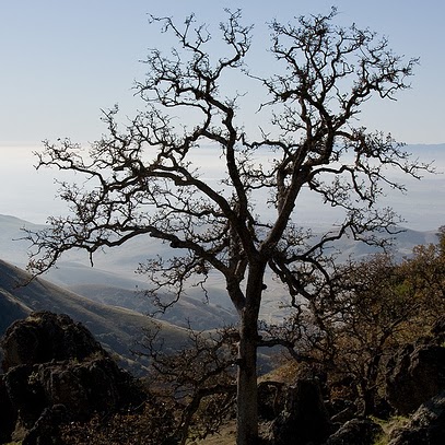 Nancy Philpot Photo 2