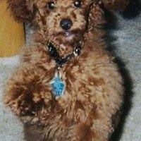 Gloria Hyduke Photo 2