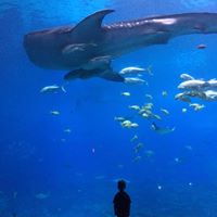 James Cheney Photo 9