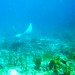 John Bethea Photo 12