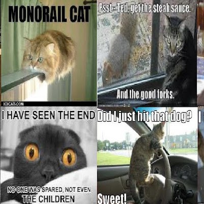 Nicholas Ingram Photo 6