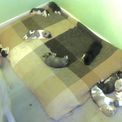 Thomas Milligan Photo 35