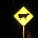 Stuart Cross Photo 27