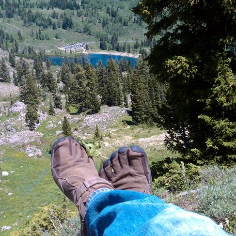 Robert Bateman Photo 44 Robert Bateman Photo 44