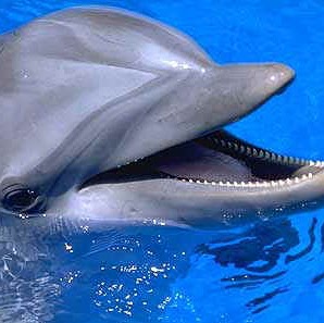 Kristina Reid Photo 17